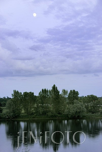 The Loiret